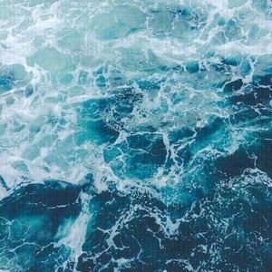 Meet your Posher, Hailey